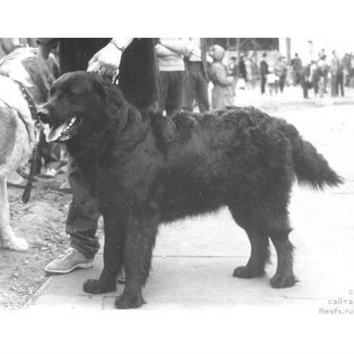 T Marija Mirabella Skaj Terra Nova (03-11-1985)